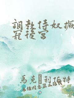 调教侍奴撅臀男宠后宫