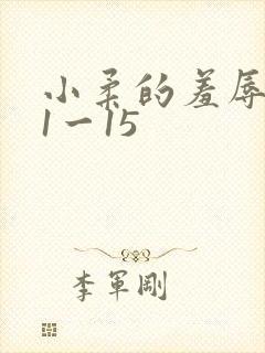 小柔的羞辱日记1一15