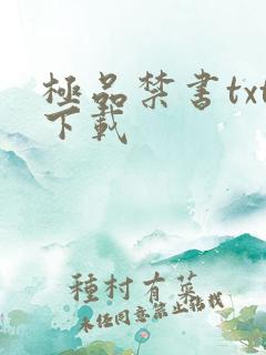 极品禁书txt下载