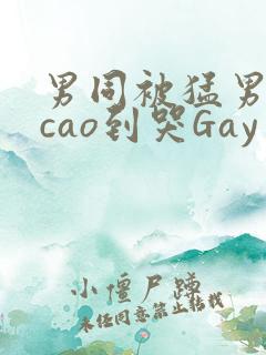 男同被猛男房东cao到哭Gay