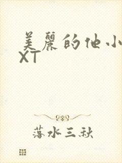 美丽的他小说TXT