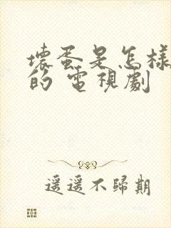 坏蛋是怎样炼成的 电视剧