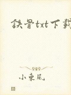 铁骨txt下载