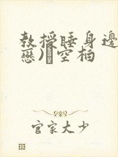 教授睡身边(婚恋)霂空柏