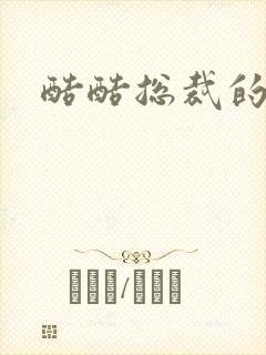 酷酷总裁的情人