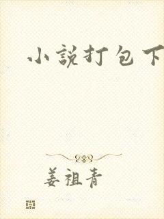 小说打包下载