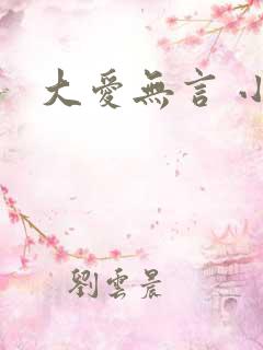 大爱无言 小说
