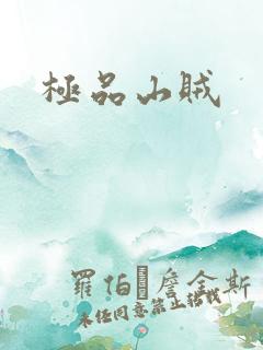 极品山贼