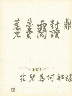 叶梦雨封鼎小说免费阅读