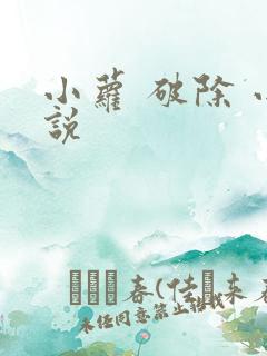 小萝 破除 小说