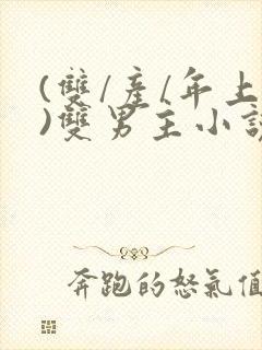 (双/产/年上)双男主小说