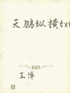 天鹏纵横txt