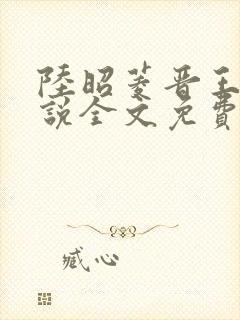 陆昭菱晋王的小说全文免费阅读