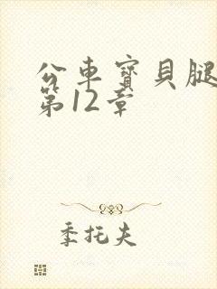 公车宝贝腿开点第12章