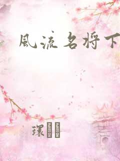 风流名将下载