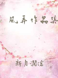 风弄作品集下载
