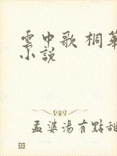 云中歌 桐华 小说