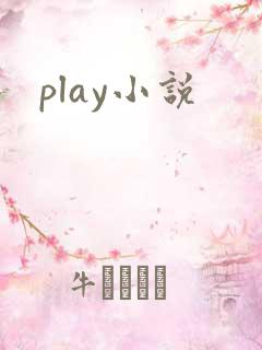 play小说