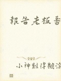 报告老板番外篇