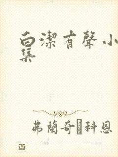 白洁有声小说全集