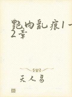 艳肉乱痕1一12章