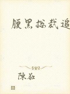 腹黑总裁追娇妻