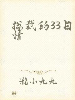 总裁的33日索情