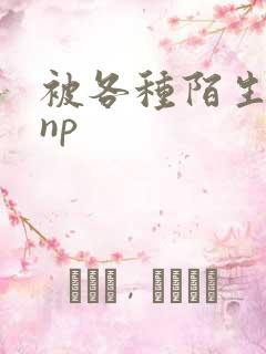 被各种陌生人 np