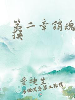 第二章销魂的交换