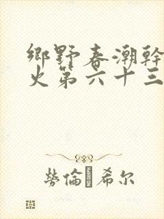 乡野春潮干柴烈火第六十三章
