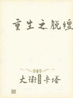 重生之脱缰人生