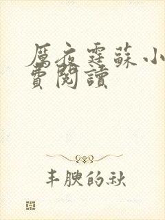 厉夜霆苏小汐免费阅读