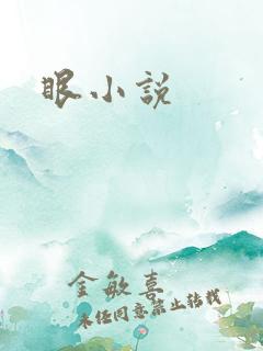 眼小说