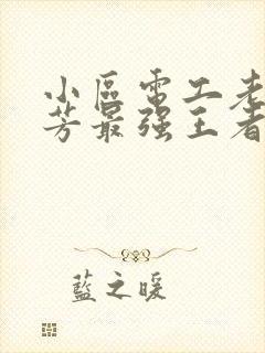 小区电工老周刘芳最强王者