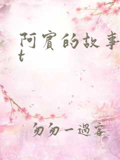 阿宾的故事txt