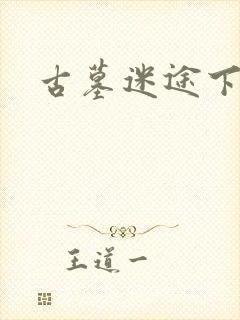 古墓迷途下载
