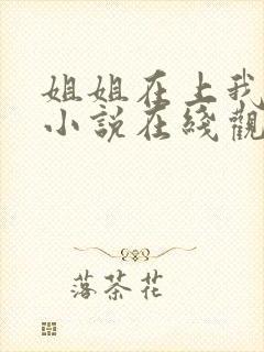 姐姐在上我在下小说在线观看