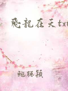 飞龙在天txt