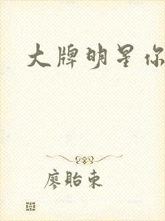 大牌明星你站住