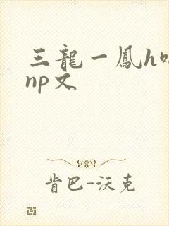 三龙一凤h啪肉np文