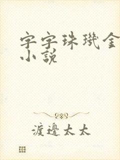 字字珠玑金银花小说