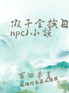 假千金挨日记(npc)小说