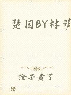 楚囚BY林萨