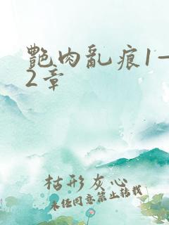 艳肉乱痕1—12章