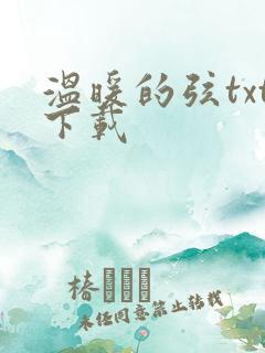 温暖的弦txt下载