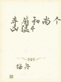 寺庙和尚个个很凶猛4