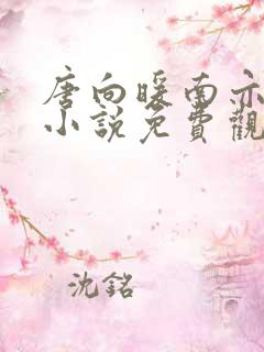 唐向暖南亦琛的小说免费观看