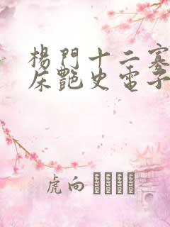 杨门十二寡妇肉床艳史电子书