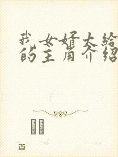 我女婿太给力了的主角介绍