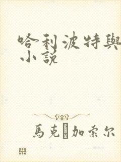 哈利波特与密室小说